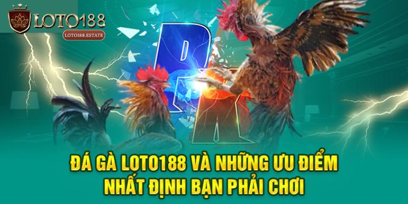 Đá Gà Loto188 - Thiên Đường Đổi Thưởng Kịch Tính Nhất 2025 2 Tại sao nên lựa chọn trải nghiệm Đá gà Loto188?