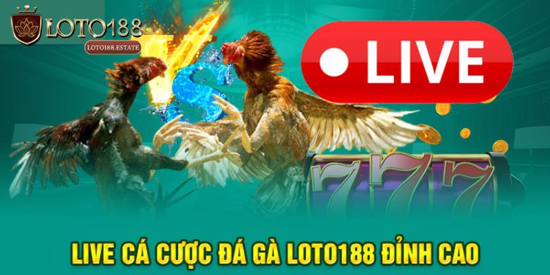 Đá Gà Loto188 - Thiên Đường Đổi Thưởng Kịch Tính Nhất 2025 4 Top 3 hình thức cá cược được yêu thích tại Đá gà Loto188
