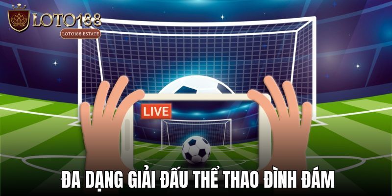Vì sao nên cá cược tại sảnh thể thao Sbobet?